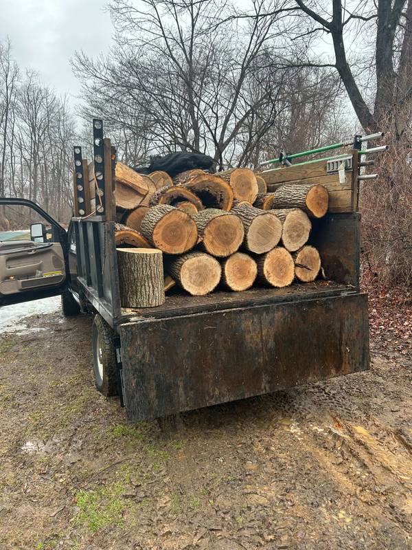 Tightly packed load of short hardwood rounds