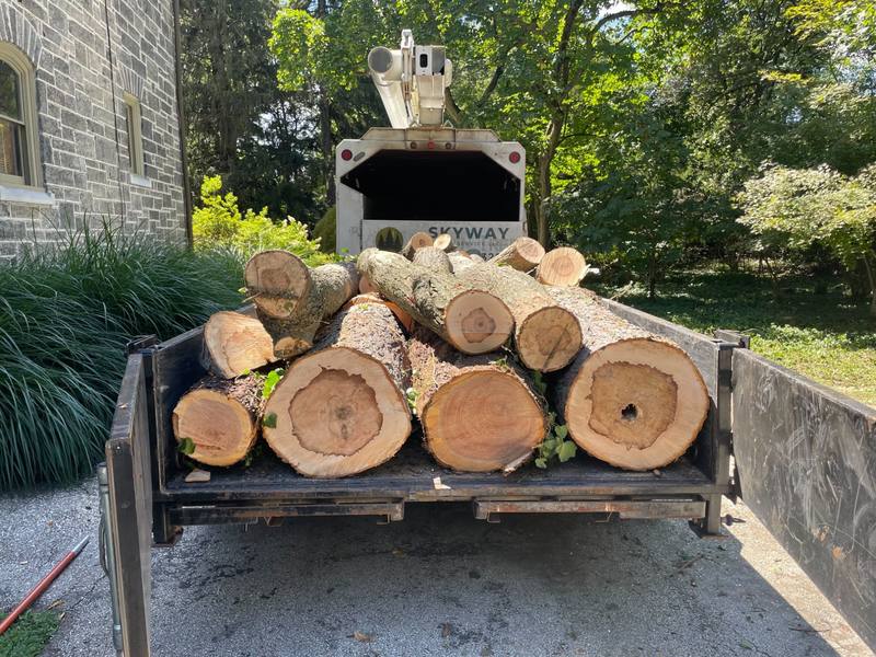 Logs loaded on a trailer at a jobsite