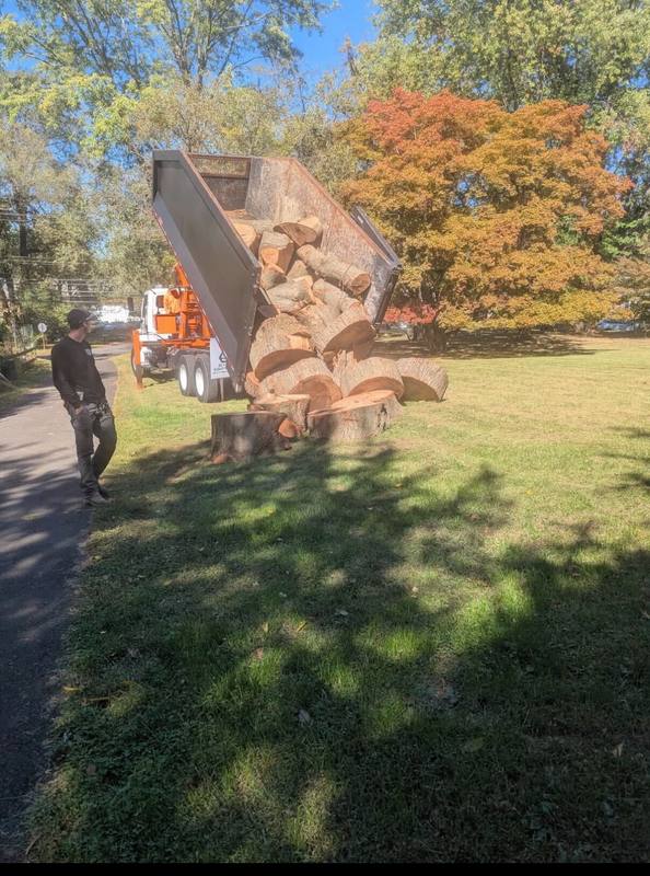 Dump truck unloading logs